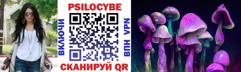 Купить где  Жиздра  Галлюциногенные грибы Psilocybine cubensis 