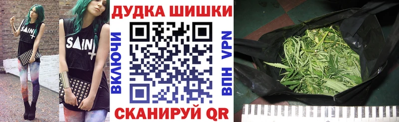 Купить закладки  Жиздра  Конопля ГИДРОПОН 